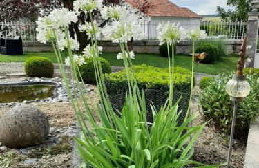 Gîte des Agapanthes - Foto 12