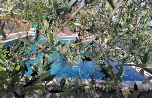 Podere San Martino - Foto 18