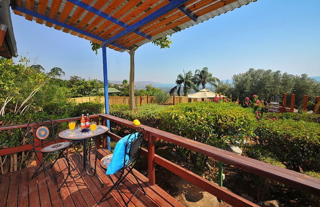 The Golan Cabin - Photo 7