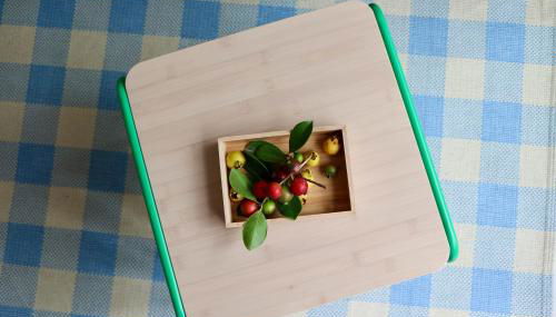 Araça Studio - Atlantic Mountain Living - Foto 5