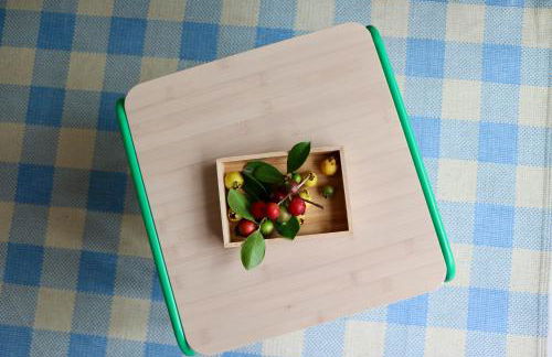 Araça Studio - Atlantic Mountain Living - Foto 5