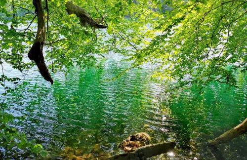 Tweet Tohuus - Foto 22