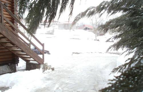 Stivakti Chalet - Foto 24