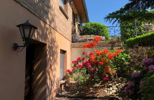 Holiday Apartment Silberborth - Foto 33