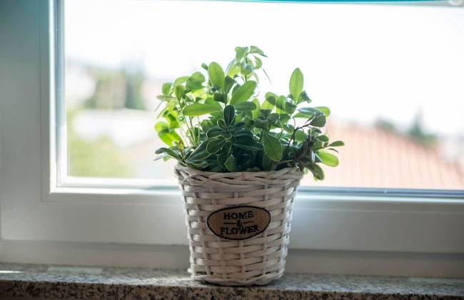 Villa Veronique - Photo 64