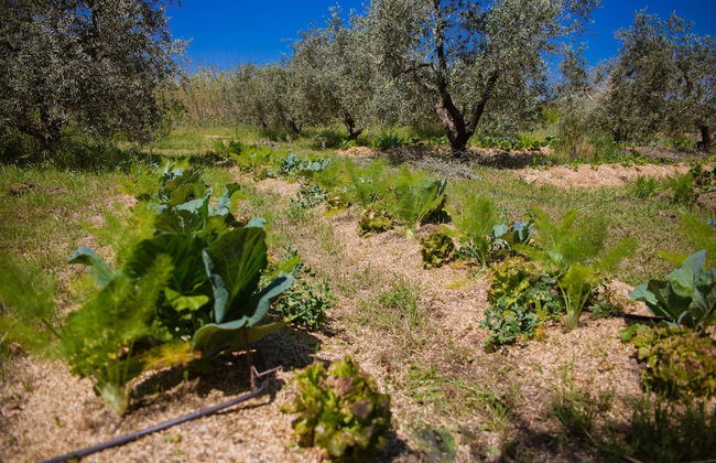Agriturismo biologico Piccapane - Photo 23