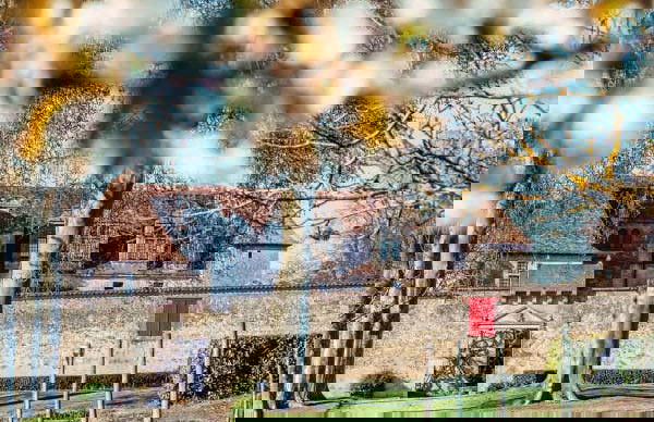 Graves and Entre-deux-Mers Winery Visits & Wine Tasting - Foto 7