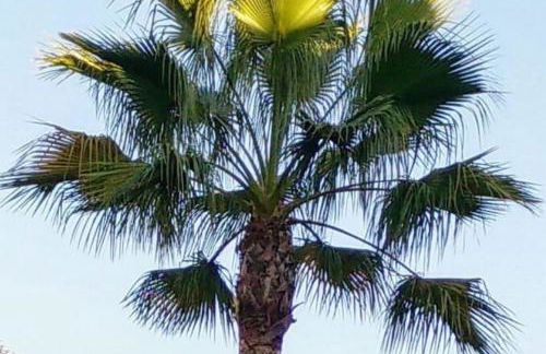 Luxurious apartment close to Puerto Banus - Photo 69