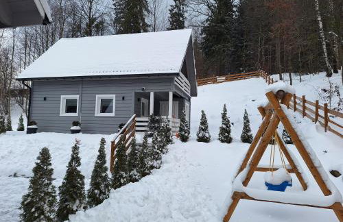 Domki u Sosny - Nowoczesne domki na wyłączność, spokojna okolica blisko lasu i szlaku, 1,2 km od centrum Brennej - Foto 60