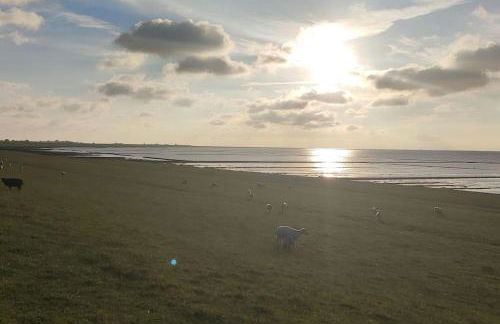 Ferienwohnung Altneukoog - Foto 28