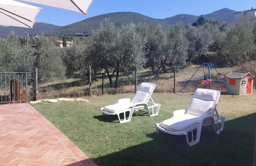 La Selvarella - Foto 45