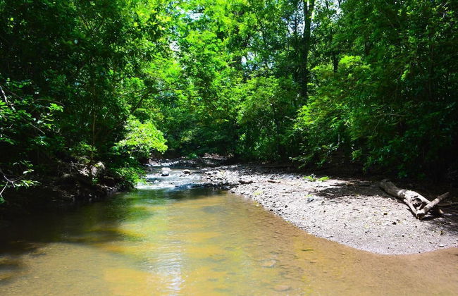 Casa Brillasol Samara - Foto 12