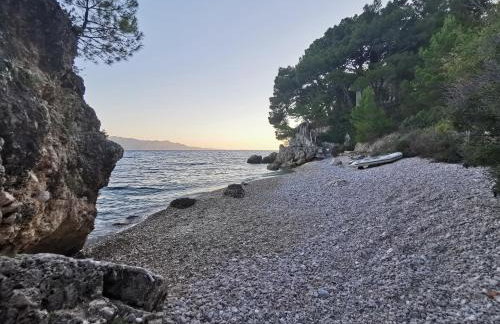 Apartmani "Allegro" - Foto 26