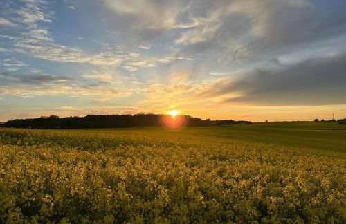 Min lütt hütt - Photo 17