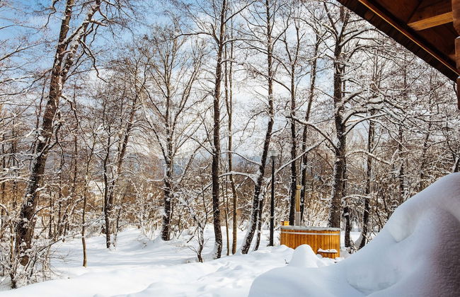 Vodenica Vrelo Chalets - Photo 29