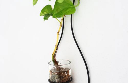 MAREMEU TROPEA - Foto 27