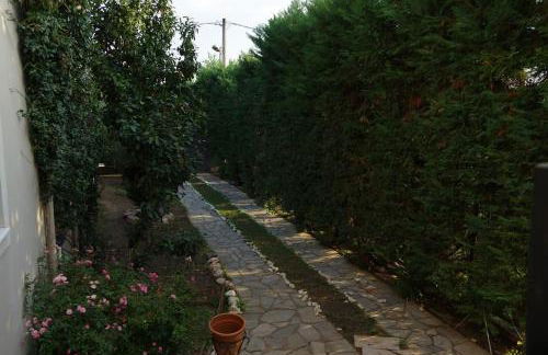 Villa Vasili - Foto 23