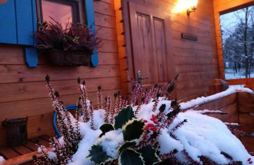 Smocze Ranczo - Foto 79