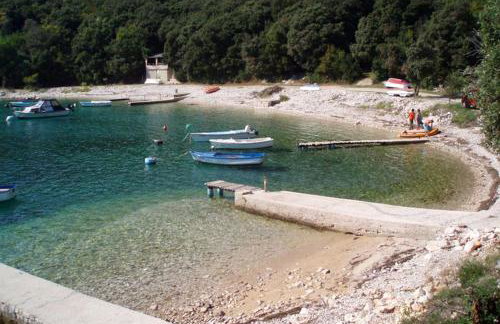 Apartments with parking space Manjadvorci, Marcana - 7445 - Foto 4