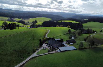 Willmannshof - Photo 27