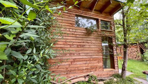 Häuschen in den Erlen - Photo 2, Garden, Garden view