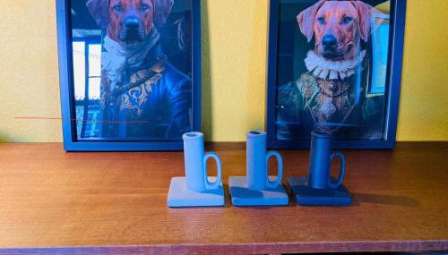 Casa do Ferreiro - Bocado Arganil - Foto 2