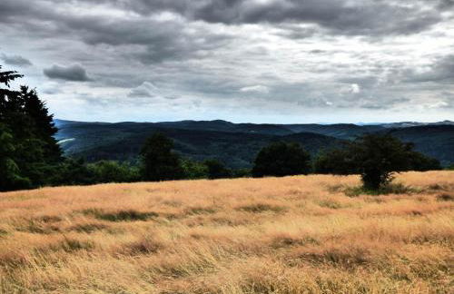 Relaxen am Eifelbach - Foto 18
