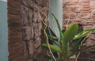 CHAPLIN Luxury Holiday House - Photo 45