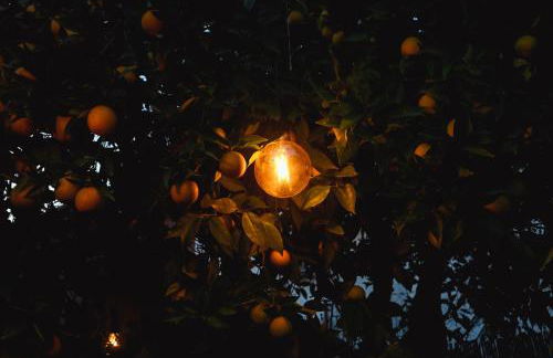 Apartamentos El Pozo 2 - Photo 17