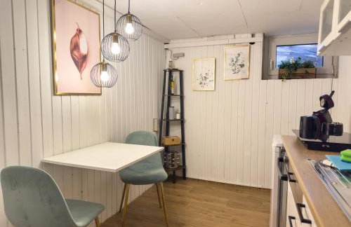 Souterrain Apartment mit eigenem Eingang und Terasse - Foto 7