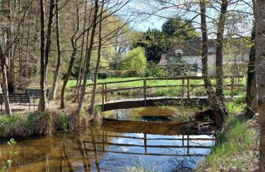 Traînefeuilles - Gîte au Four à Pain proche Zoo de Beauval - Foto 33