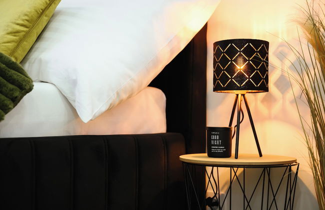 Luxury Musicians Apartment Central Praha - Foto 5