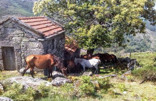 Miradouro da Branda - Foto 38