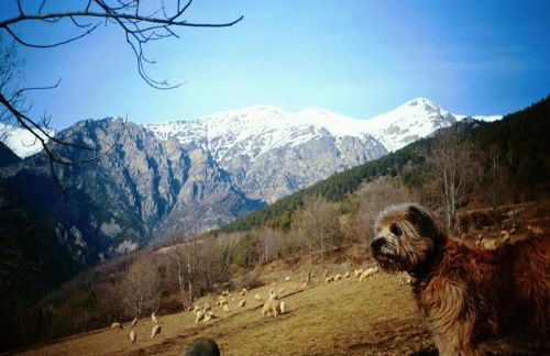 La Cabanya de Cal Forn de Serrat - Foto 22