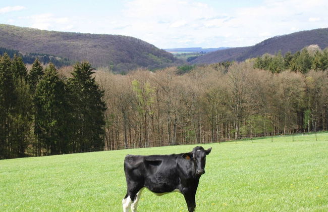 Villa in Freyneux With Garden - Foto 39