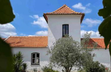 Casa Luis Pato - Foto 35