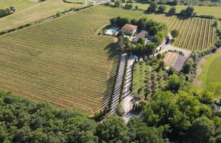 Il Colombaio Winery and Rooms - Foto 62