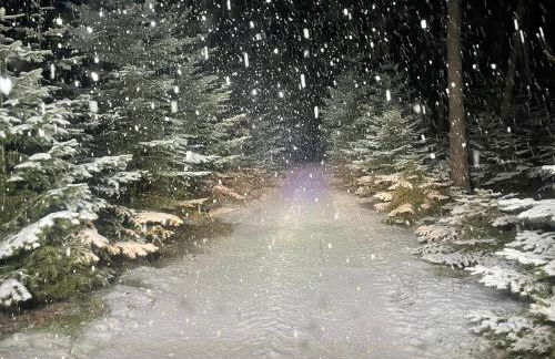 Ferienwohnungen im Haus Waldstück - Foto 11