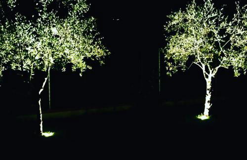 La Pitorina Holidayhome - Foto 66