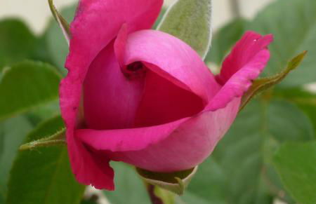 Agriturismo L'Acero Rosso - Foto 77