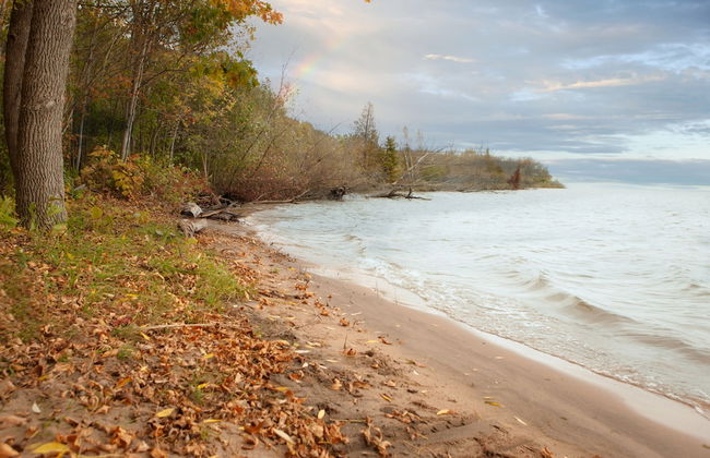 Mission Springs Resort - Photo 69