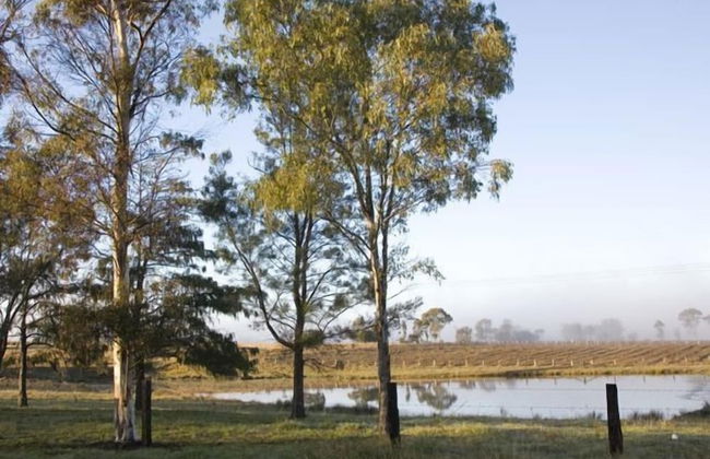 Talga Vines Vineyard Escape - Foto 17