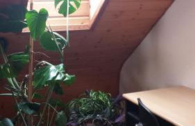 Pension Rosenblick - Foto 10