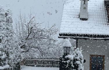 Residence Burghof - Foto 43