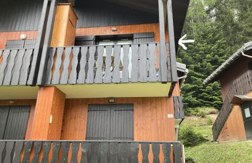 Appartement dans chalet typiquement savoyard au pied des pistes - Foto 3