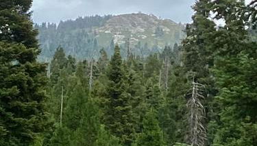 Sequoia National Forest CabinK - Foto 5