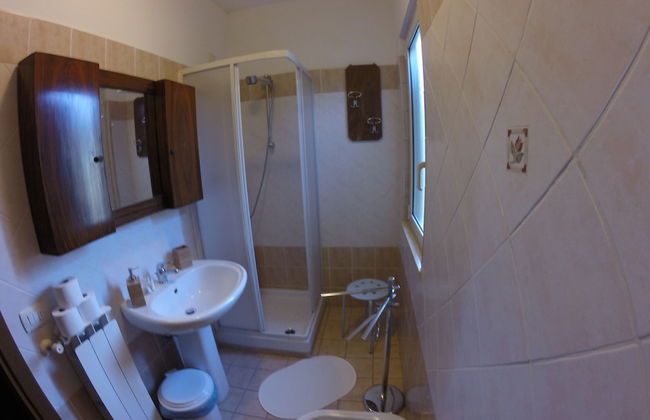 I Cardinali - Foto 15