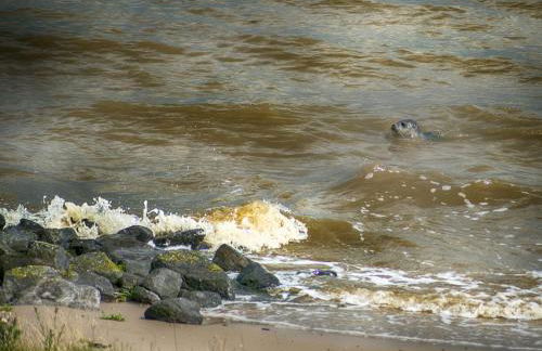 Ferienwohnung Zur Mühle - Foto 23