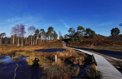 NEU! Schicke und moderne FeWo Lindenalle OG - Foto 12