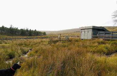 Nethergill Haylofts - Foto 36